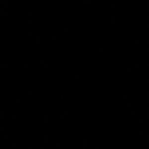 ISO CUTE LOW RISE FLARE BIG STARS 25x35-36 inseam